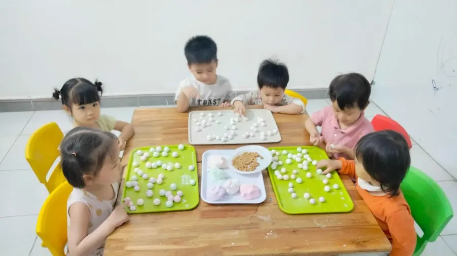 Mầm Non Thuỷ Tiên