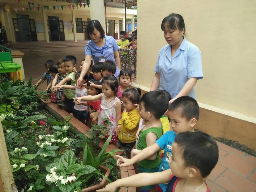 Trường mầm non Cẩm Sơn 1