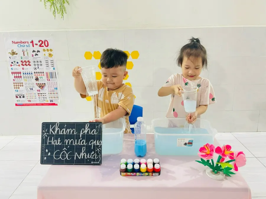 Mầm Non Bảo Anh