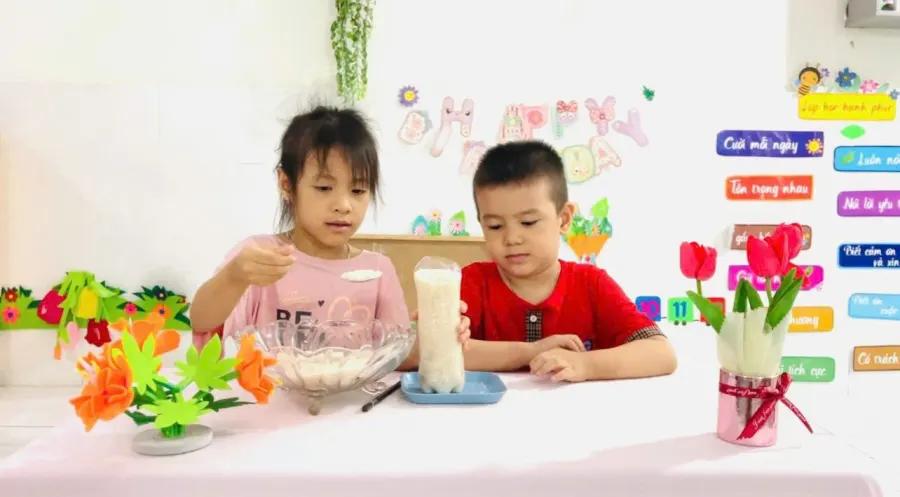 Mầm Non Bảo Anh