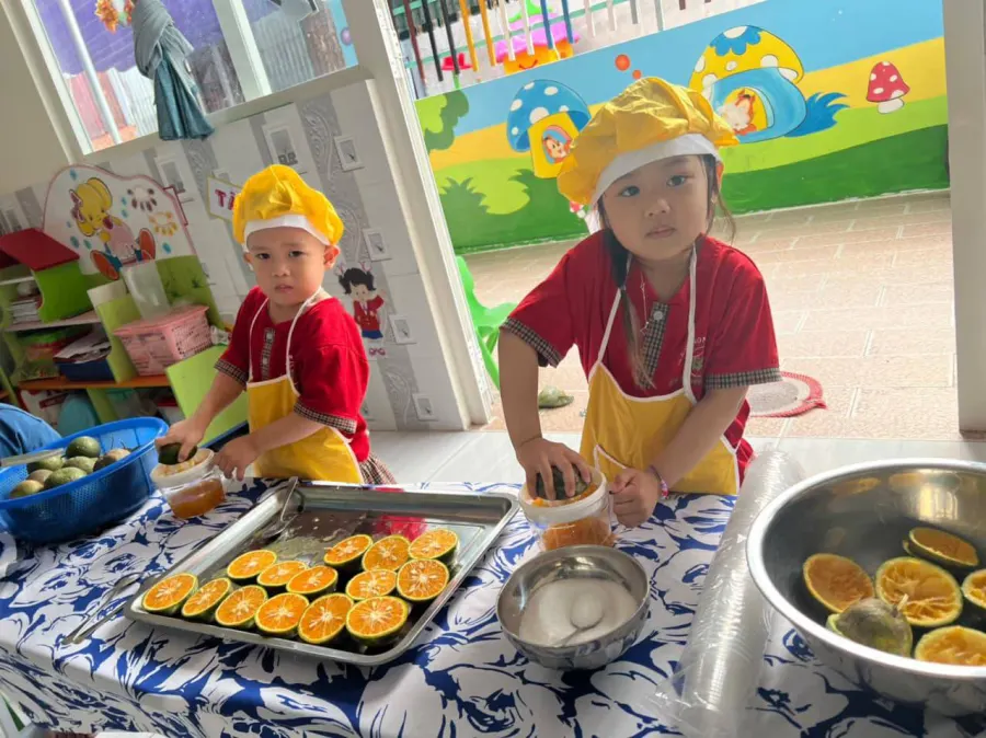 Mầm Non Bảo Anh
