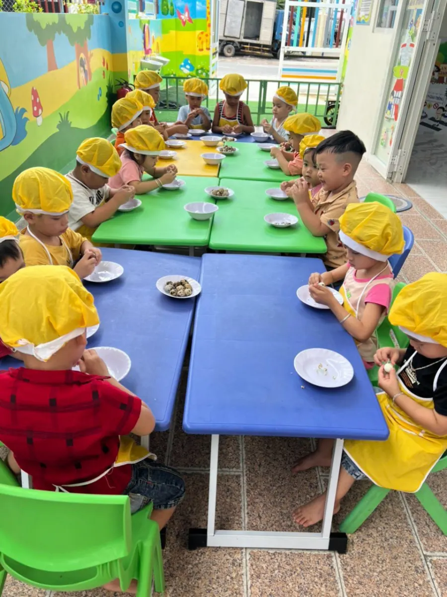 Mầm Non Bảo Anh
