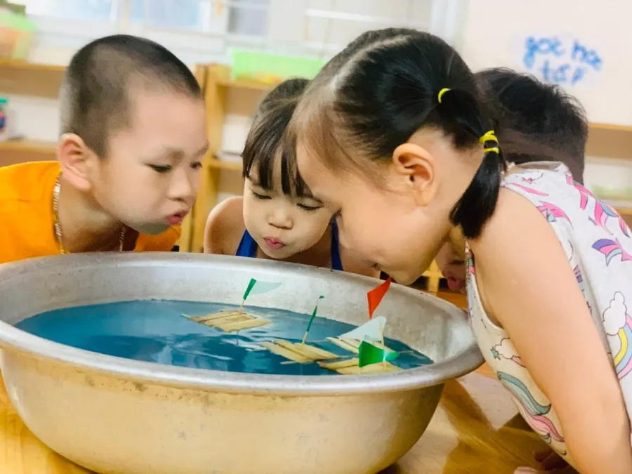 Mầm Non Trẻ Em Việt - Vietkids Plus
