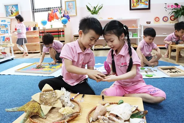 Trường Mầm non Sakura Montessori