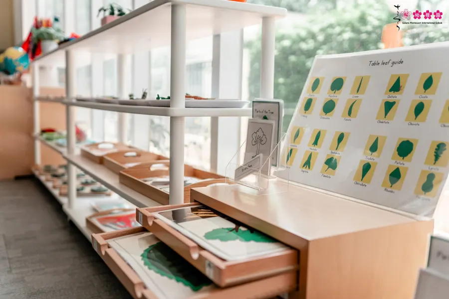 Trường Mầm non Sakura Montessori