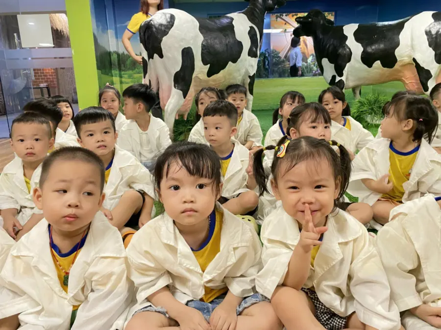 Mầm Non Miền Đất Tuổi Thơ - Tân Triều, Thanh Trì