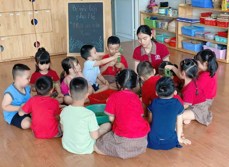 Mầm Non Tô Ký