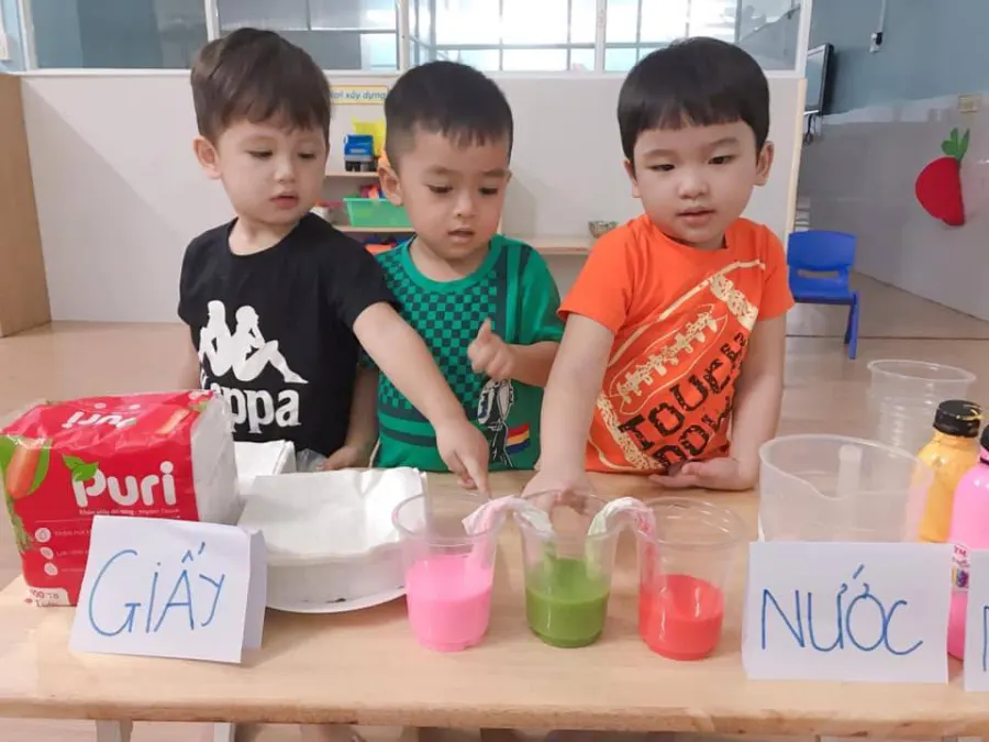 Mầm Non Tô Ký
