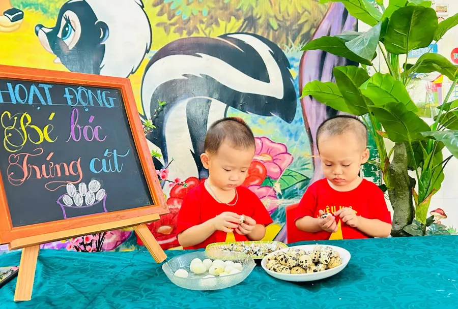 Trường Mầm Non Tâm Việt - TP.Vinh