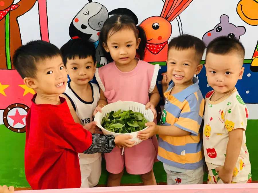 Mầm Non Ánh Dương Xanh