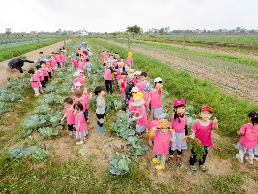 MẦM NON TƯ THỤC MAIKA (MAIKA MONTESSORI) - LỘC VƯỢNG, NAM ĐỊNH