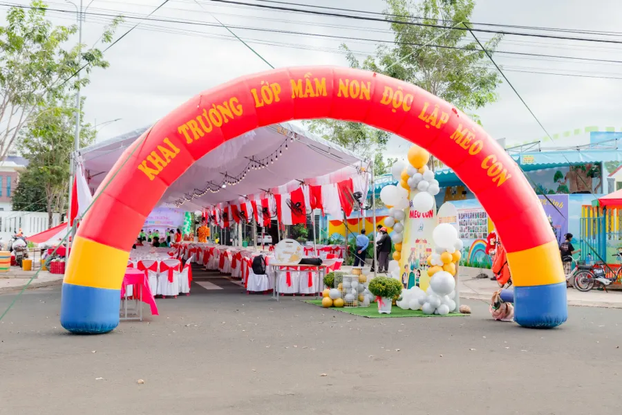 Mầm Non Mèo Con
