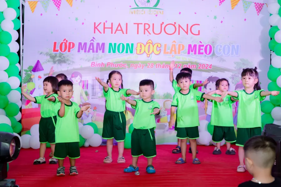 Mầm Non Mèo Con
