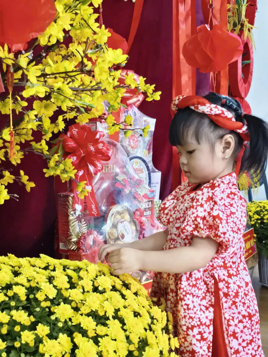 Mầm Non Sen Vàng