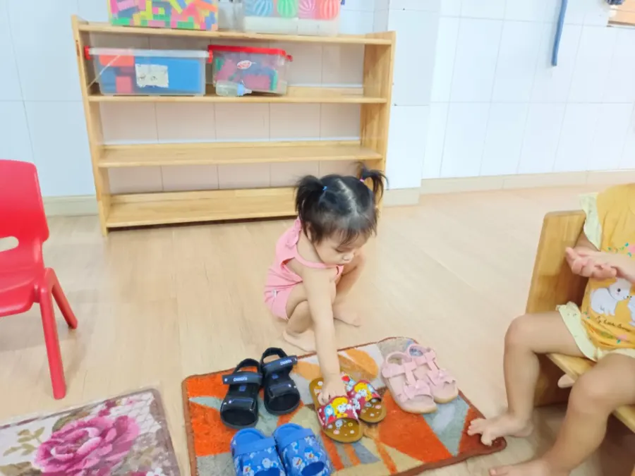 Mầm Non Họa Mi