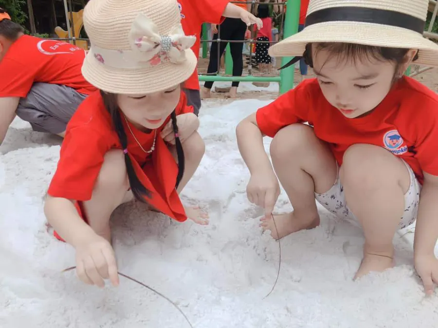 Trường Mầm Non Bí Đỏ (PUMPKIN SCHOOL) - Lĩnh Nam