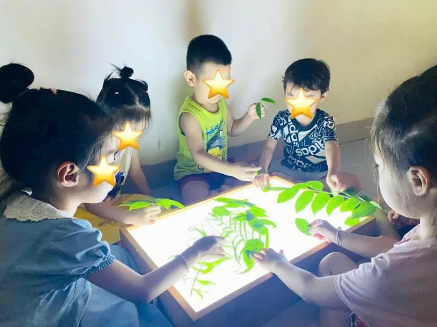 Trường can thiệp sớm và dạy trẻ đặc biệt Tuệ An - Tứ Hiệp, Thanh Trì