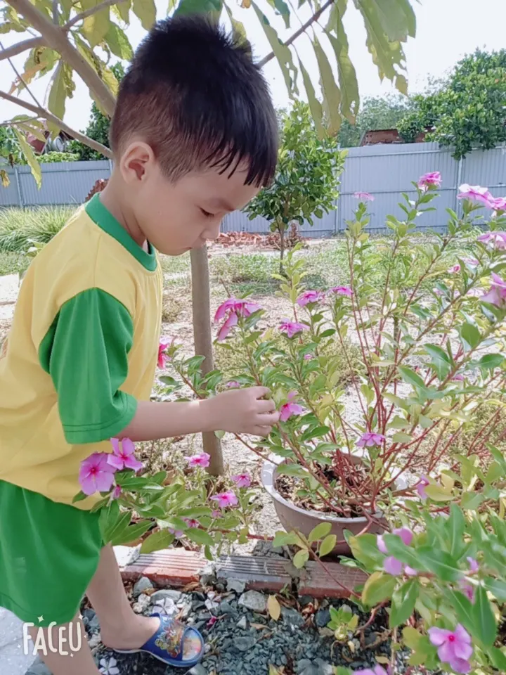 Trường Mầm Non Mặt Trời Nhỏ (Baby Sun)