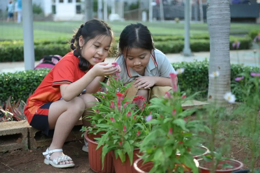 Trường Tiểu học - THCS - THPT Happy School