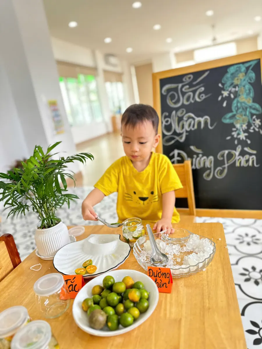 Mầm Non Mầm Nhỏ - Tiny Seeds Montessori Children’s Home
