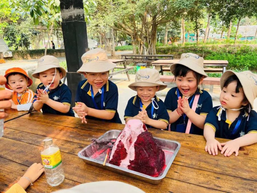 Mầm Non Những Ngôi Sao Nhỏ (Little Stars) - Vinhomes Smart City