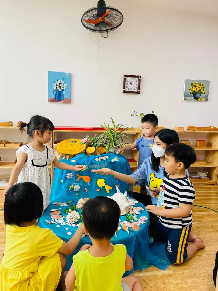 Mầm non Ngọn Nến Hồng Lipica - Xala Hà Đông