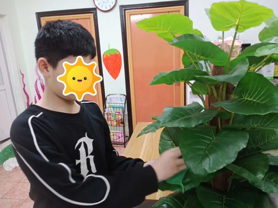Trung Tâm Tâm Lý Giáo Dục Liên Hoa