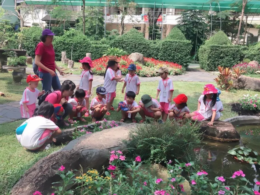 Trường Mầm Non Sen Hồng