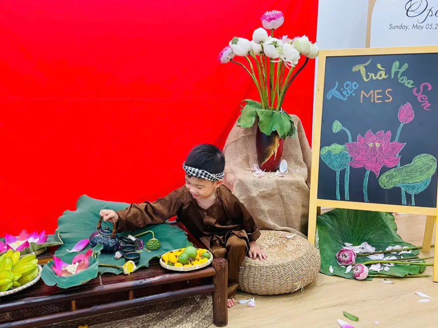 Mầm Non Trí Tuệ Tự Nhiên - M.E Preschool
