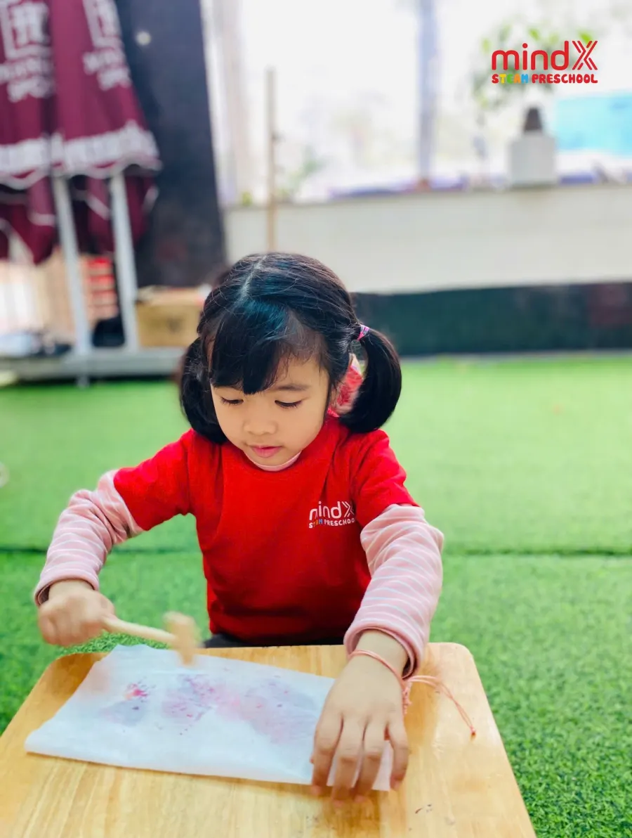 Hệ Thống Mầm Non MindX Preschool - CN Tây Nam Linh Đàm