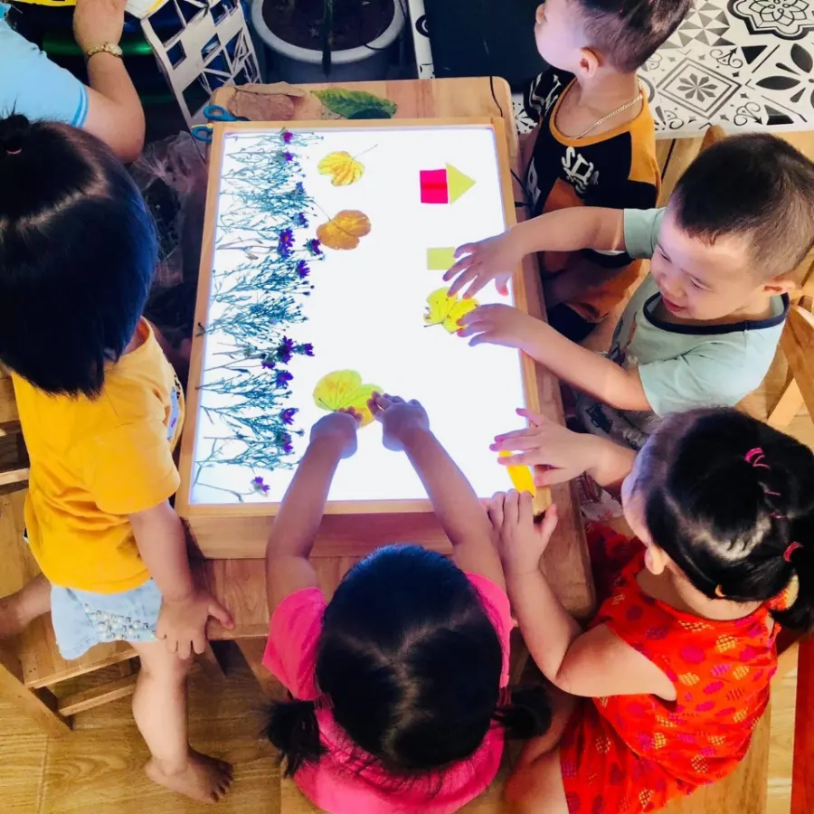 Trường mầm non Giving Tree Montessori - Đức Giang, Long Biên
