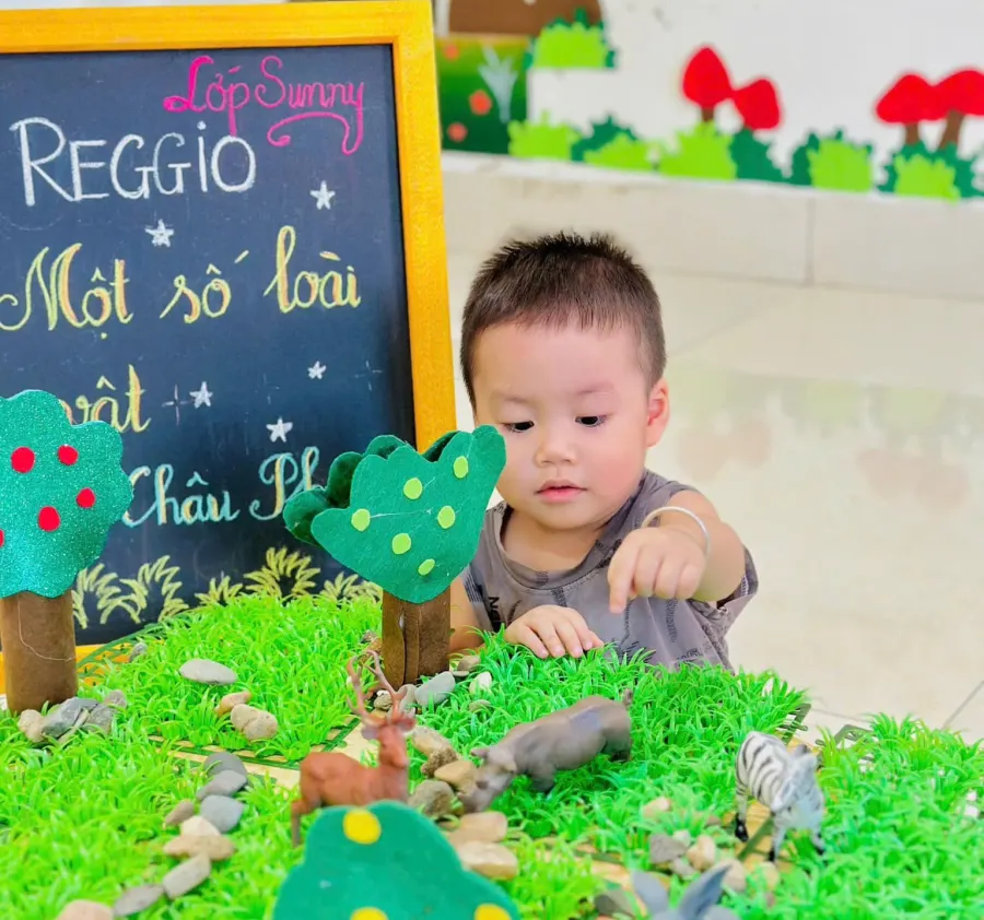 Mầm Non Tư Thục Hoa Hồng