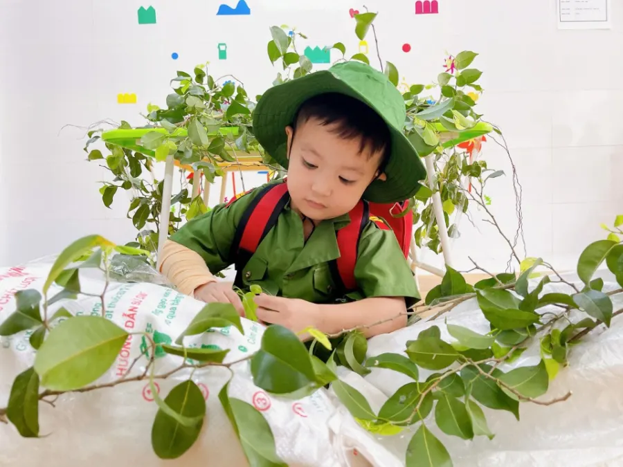 Mầm Non Hoa Cúc
