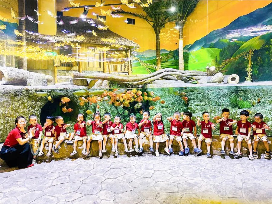 Trường Mầm Non STEAM Wonders