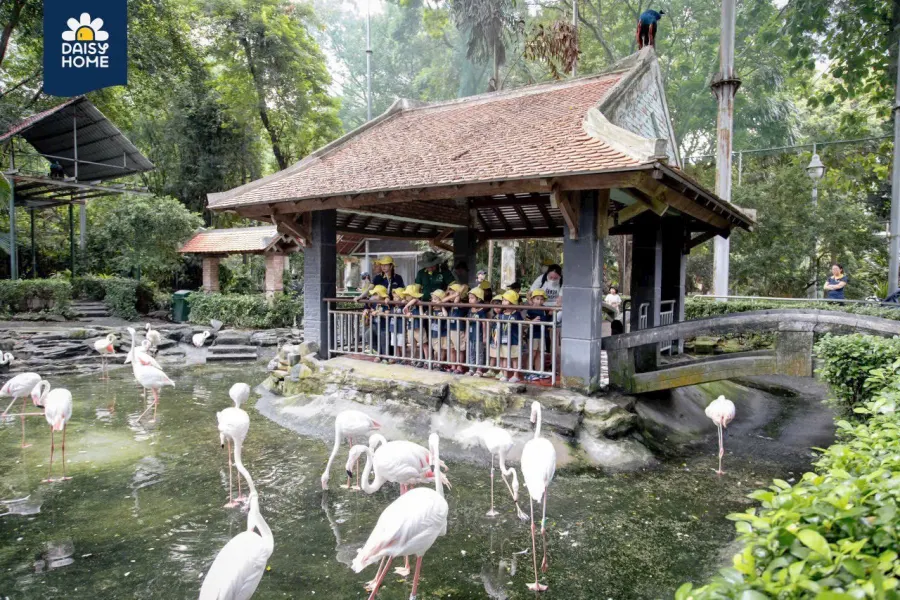 Trường Mầm Non Ngôi Nhà Hoa Cúc (Daisy Home Preschool)