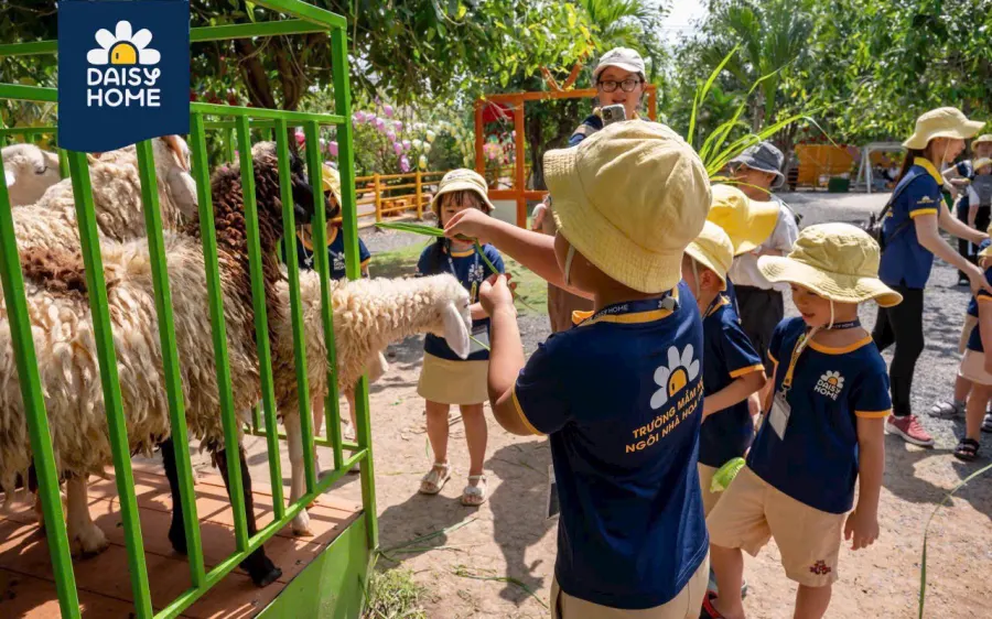 Trường Mầm Non Ngôi Nhà Hoa Cúc (Daisy Home Preschool)