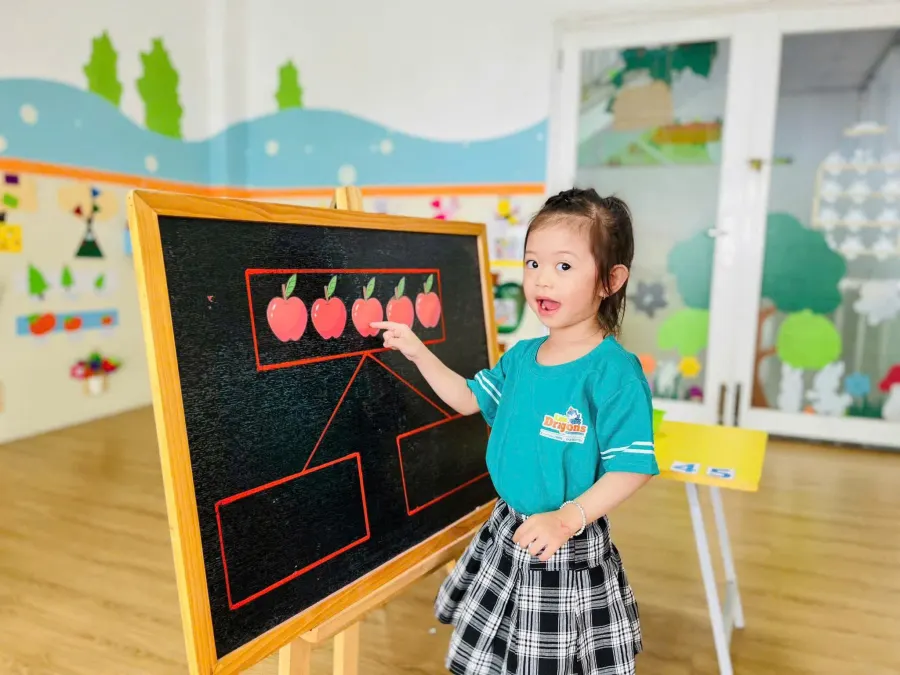 Hệ thống Mầm non Rồng Con (Little Dragons Kindergarten)
