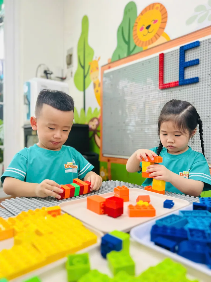 Hệ thống Mầm non Rồng Con (Little Dragons Kindergarten)