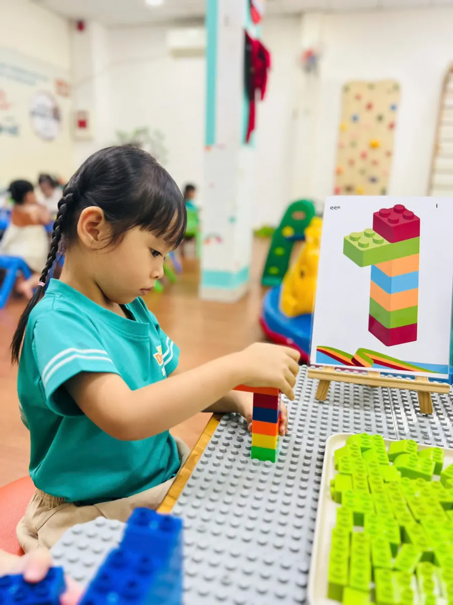Hệ thống Mầm non Rồng Con (Little Dragons Kindergarten)