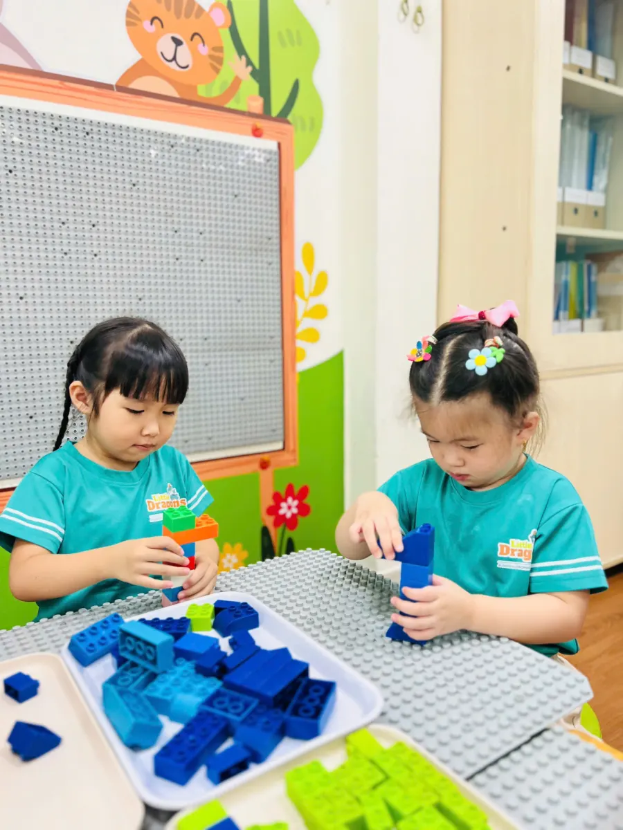 Hệ thống Mầm non Rồng Con (Little Dragons Kindergarten)