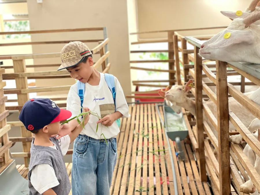 Trung Tâm Ngoại Ngữ Dalat Academy - Xuân Hương, Đà Lạt