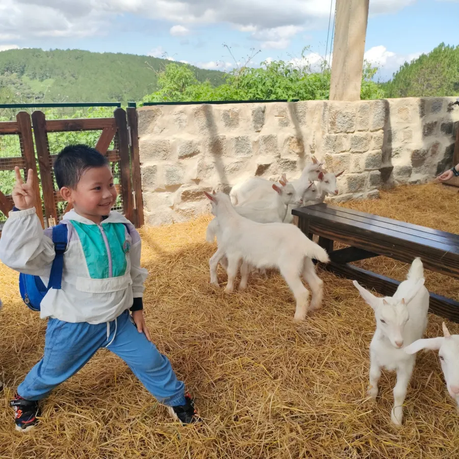 Trung Tâm Ngoại Ngữ Dalat Academy - Xuân Hương, Đà Lạt