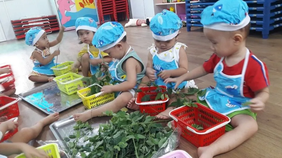Trường mầm non Bến Thành