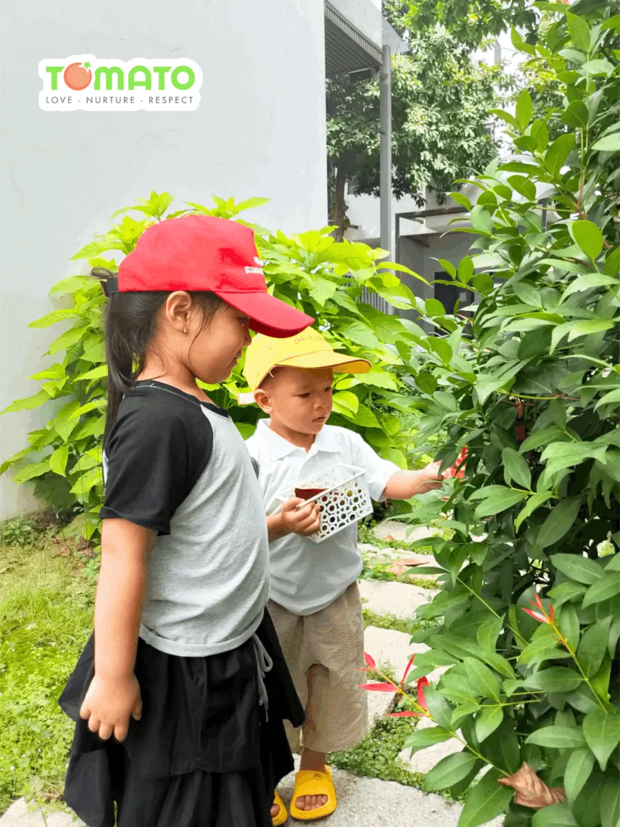 Trường Mầm Non Đa Trí Thông Minh TOMATO Bến Lức - The Pearl Riverside