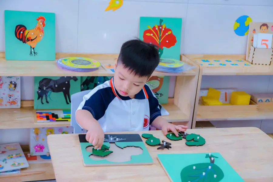Trường Mầm Non Đỗ Minh