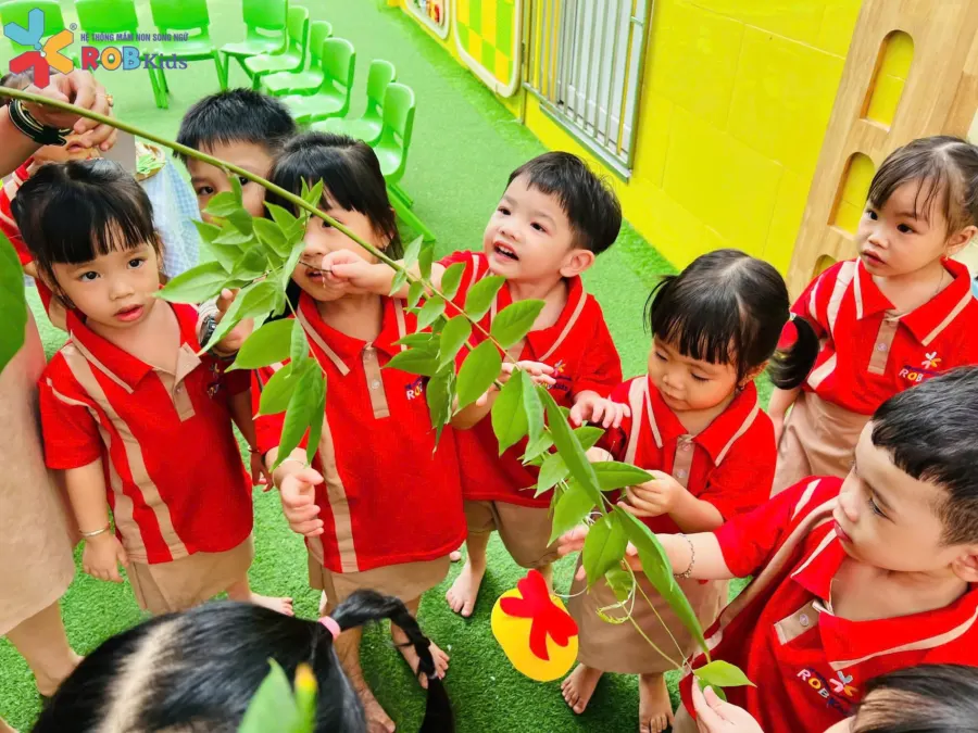 Trường Mầm non Song ngữ ROB Kids