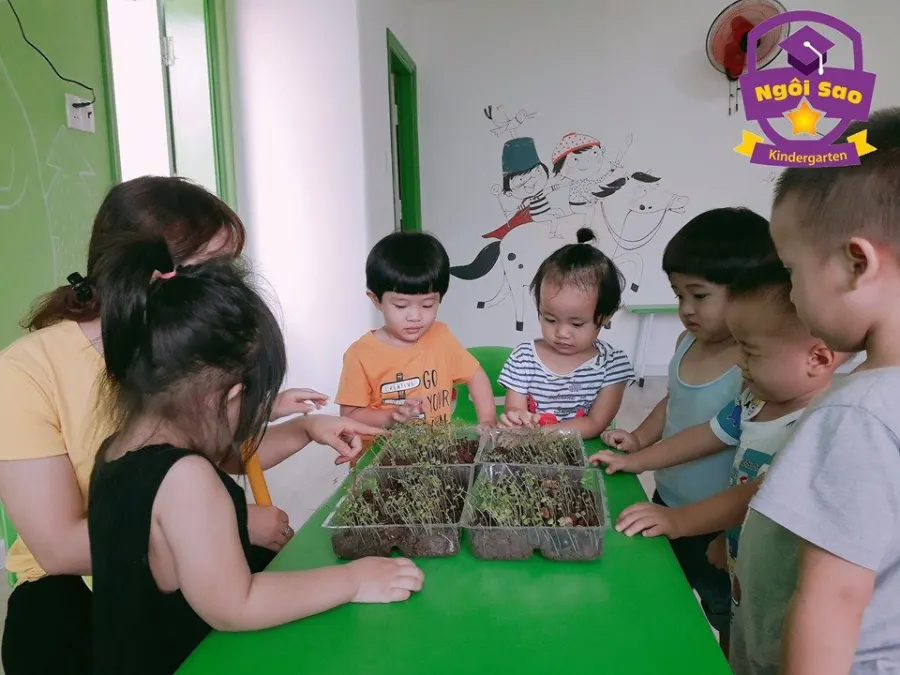 Trường mầm non Năng khiếu Ngôi Sao