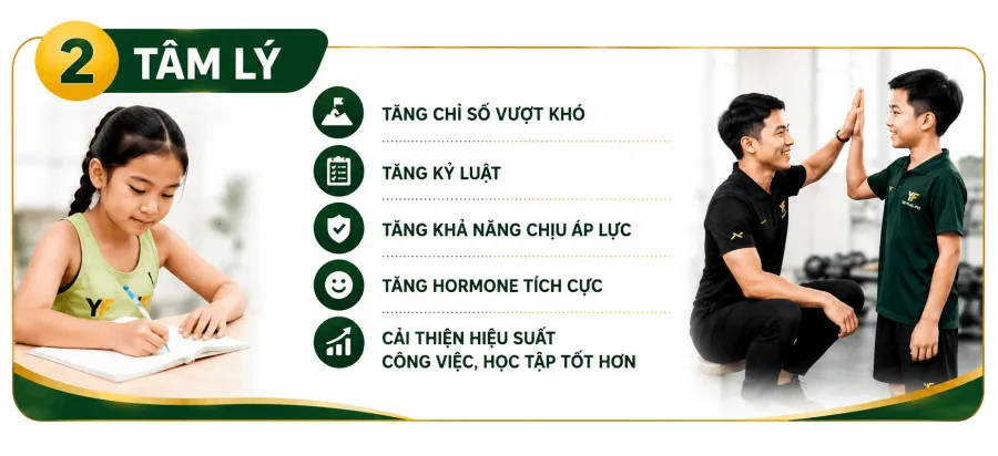 Trung Tâm The Young Fits