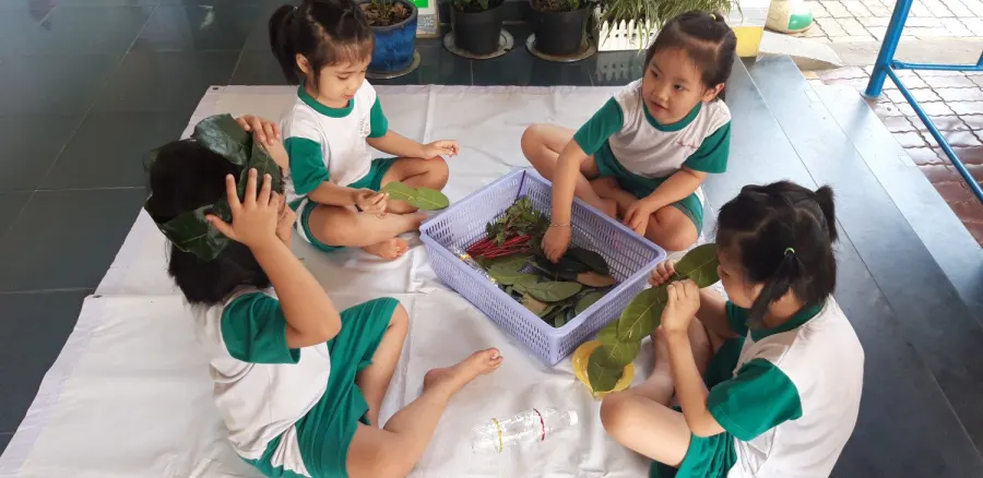 Trường mầm non Hoa Phượng