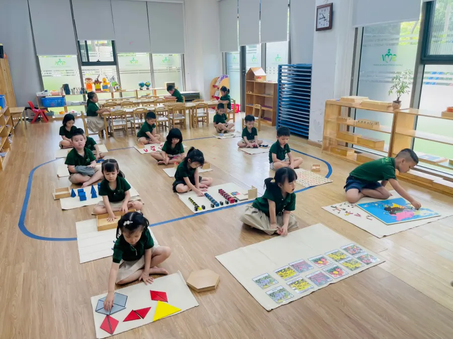 Trường Mầm Non Safari Montessori Academy Quang Minh